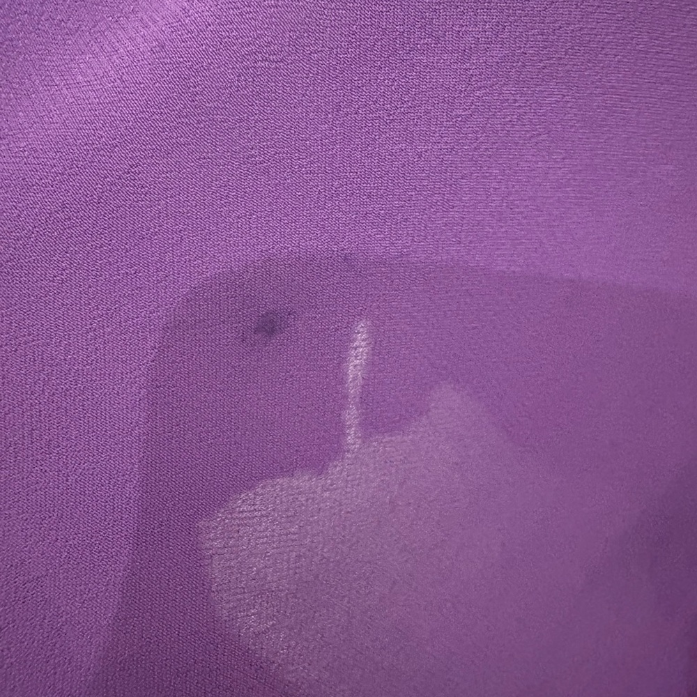 Zara Purple Ruffle Blouse - Picture 5 of 6